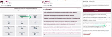 citas licencias puebla|Citas en Línea